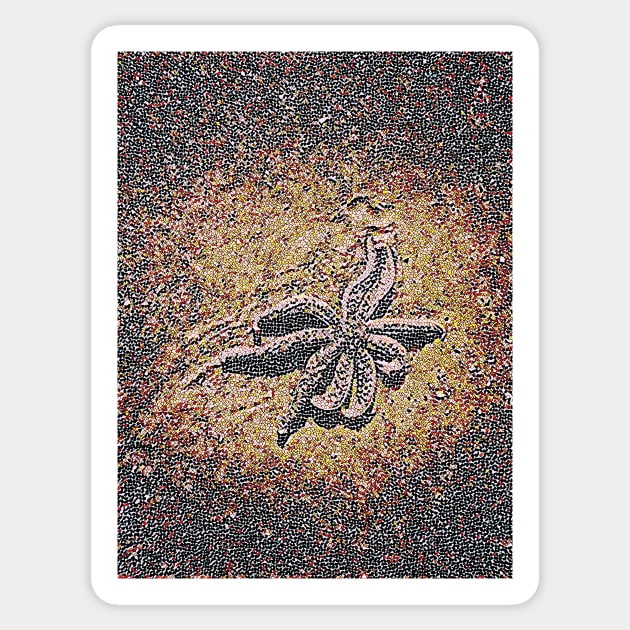 Golden Brown Starfish Sticker by Tovers